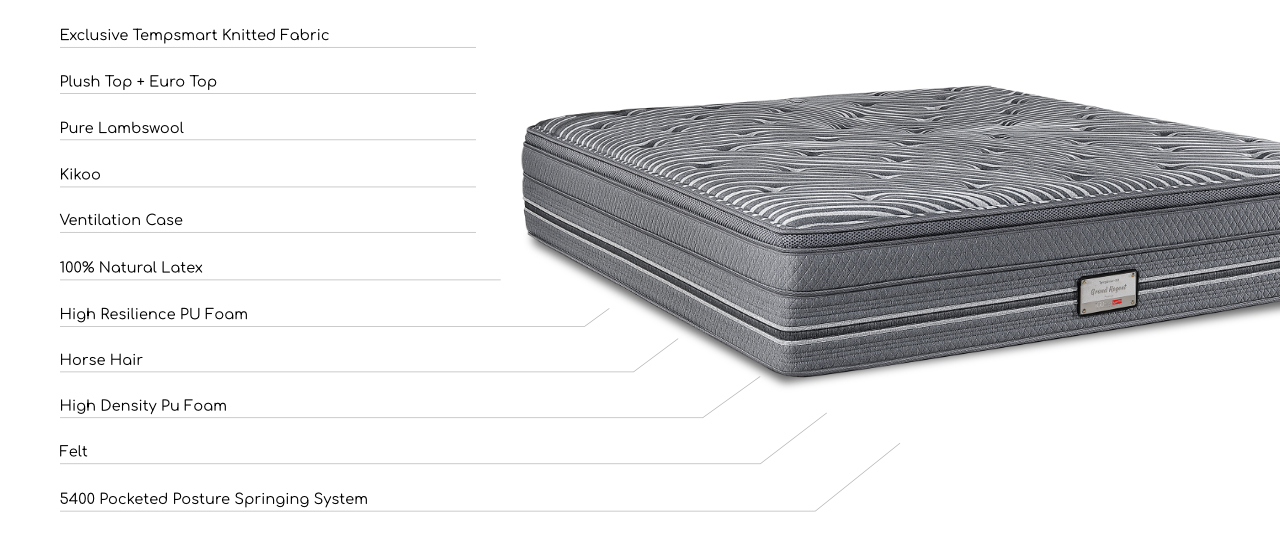 Tempsmart 5.0 Grand Regent mattress layer